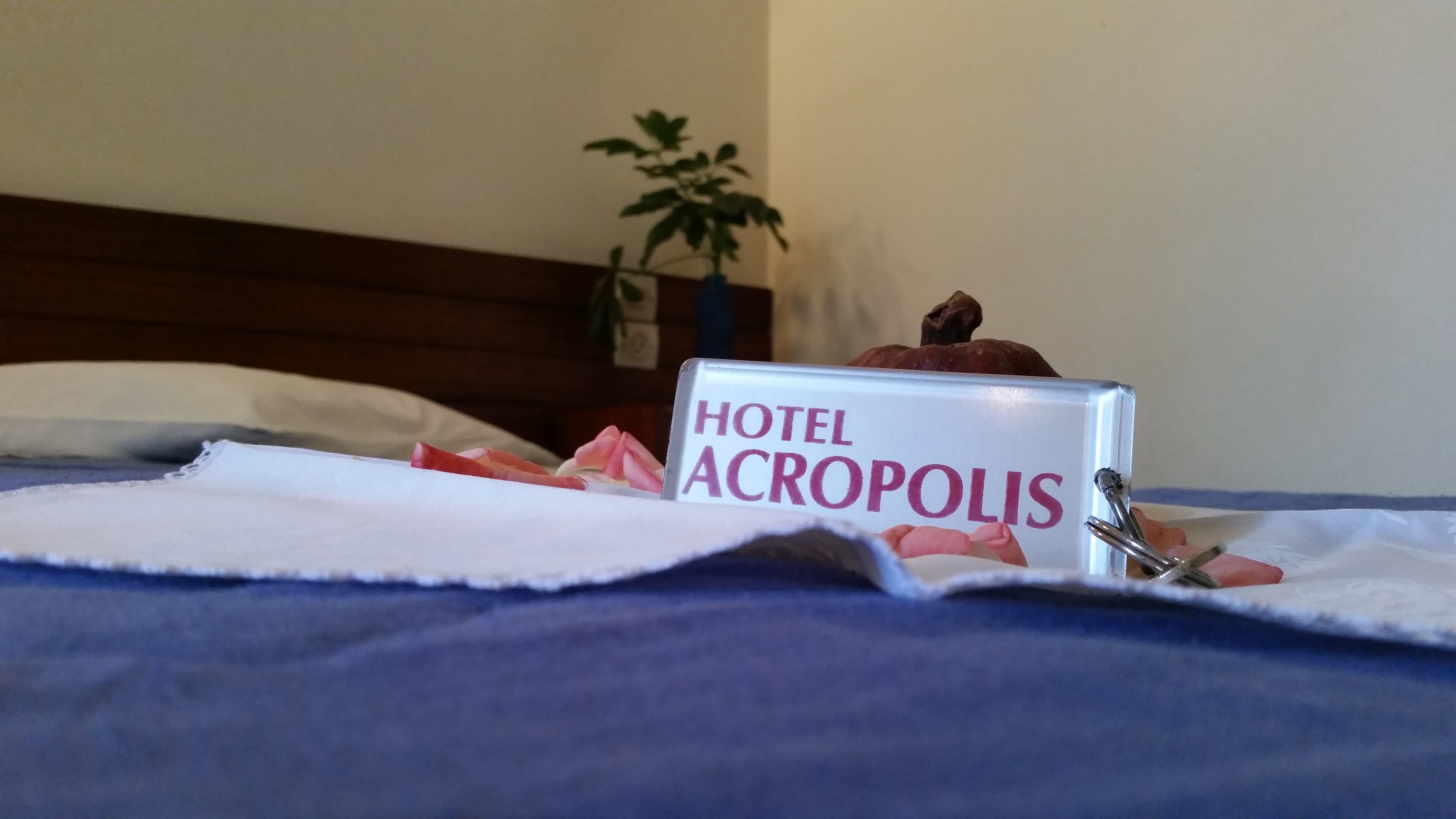 acropolis hotel